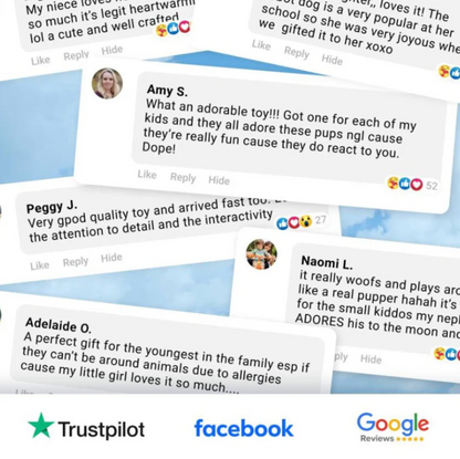 Premium Puppy Companion